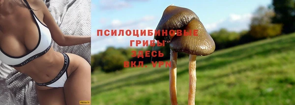 не бодяженный Болохово