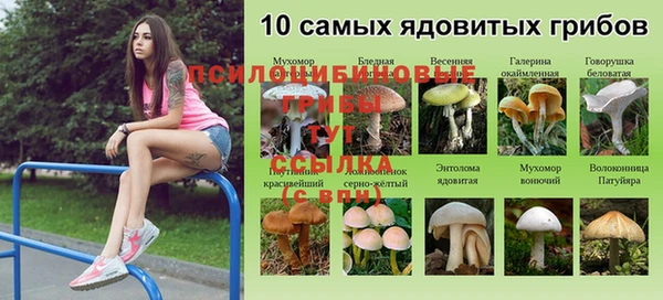 марки nbome Нефтекумск
