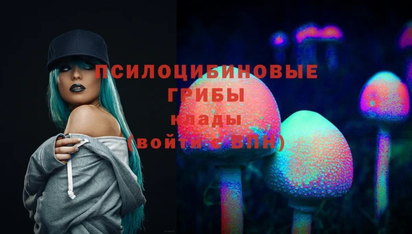 герыч Новозыбков