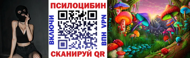 Купить  Калязин  Галлюциногенные грибы Magic Shrooms 
